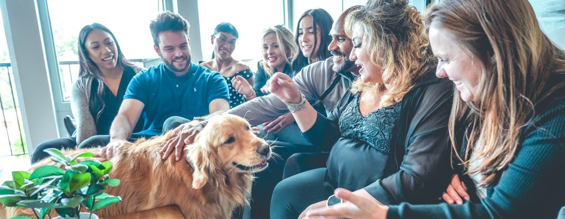 a group of people sitting in a room with a dog